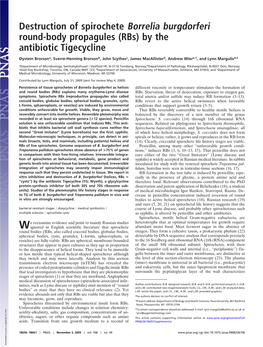 Destruction of Spirochete Borrelia Burgdorferi Round-Body Propagules (Rbs) by the Antibiotic Tigecycline
