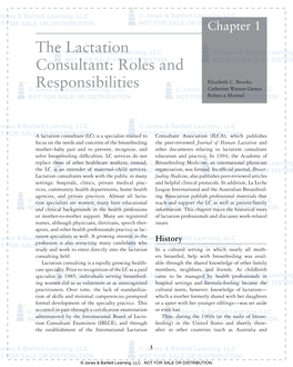 The Lactation Consultant: Roles and Responsibilities