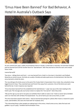 'Emus Have Been Banned' for Bad Behavior, a Hotel in Australia's Outback Says