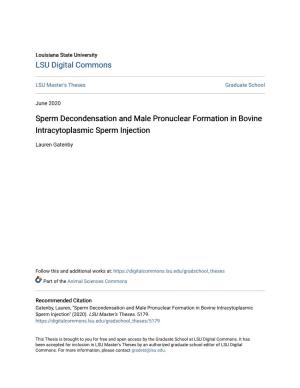 Sperm Decondensation and Male Pronuclear Formation in Bovine Intracytoplasmic Sperm Injection