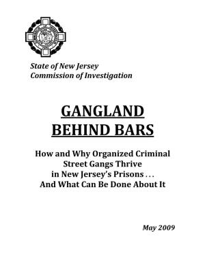 Gangland Behind Bars: How and Why Organized Criminal Street Gangs