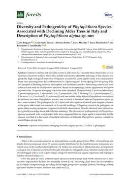 Diversity and Pathogenicity of Phytophthora Species Associated with Declining Alder Trees in Italy and Description of Phytophthora Alpina Sp