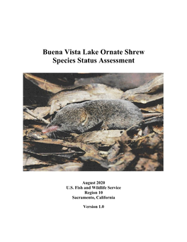 Buena Vista Lake Ornate Shrew Species Status Assessment