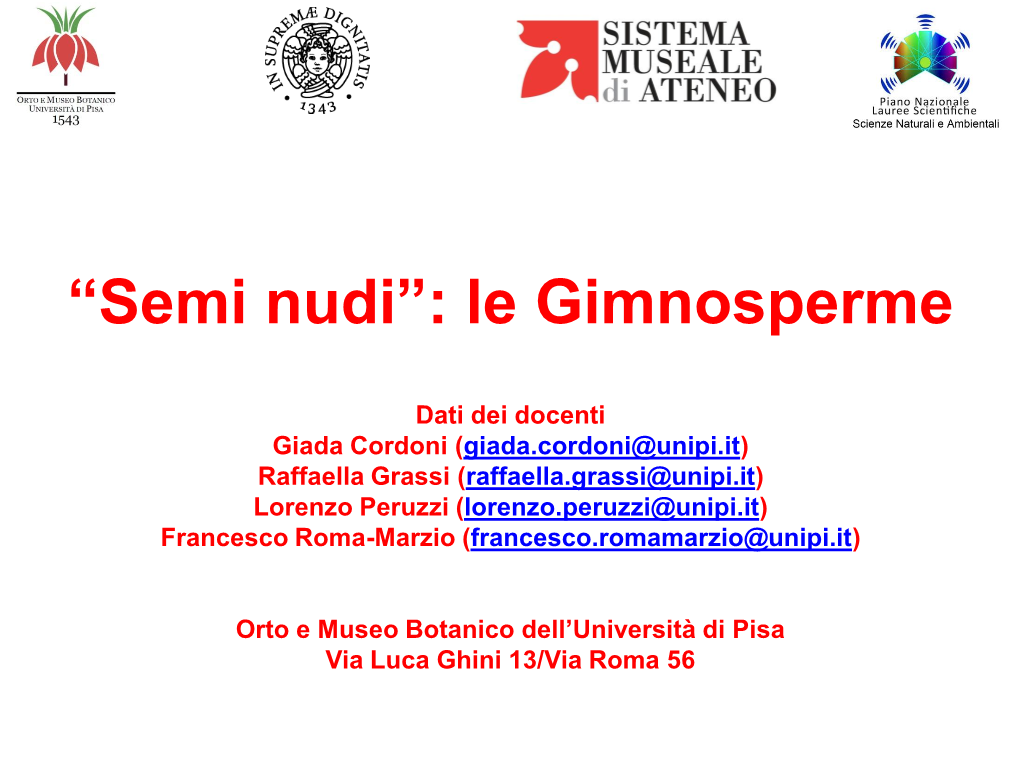 ''Semi Nudi''; Le Gimnosperme