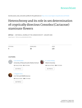 Heterochrony and Its Role in Sex Determination of Cryptically Dioecious Consolea (Cactaceae) Staminate Flowers