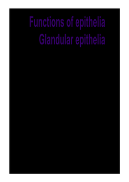 Functions of Epithelia Glandular Epithelia Spatial Arrangement of Epithelia