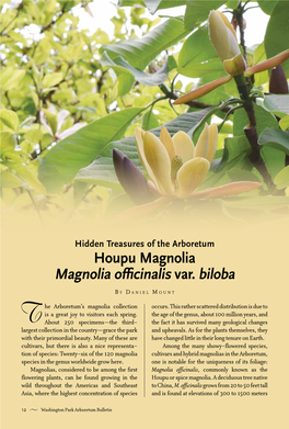 Houpu Magnolia Magnolia Officinalis Var. Biloba