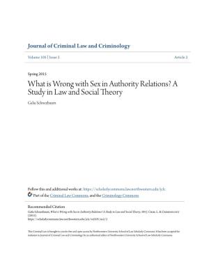 What Is Wrong with Sex in Authority Relations? a Study in Law and Social Theory Galia Schneebaum