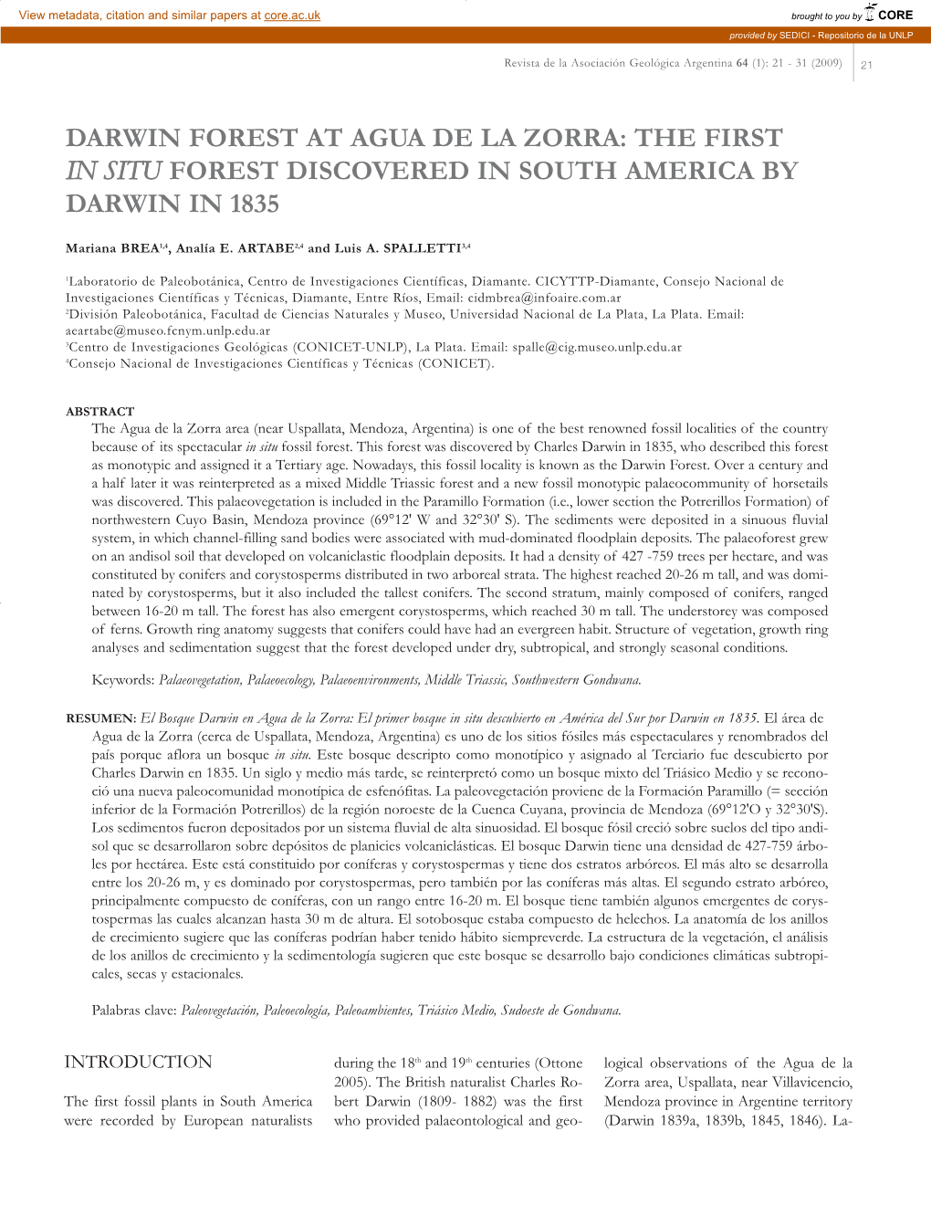 Darwin Forest at Agua De La Zorra: the First in Situ Forest Discovered in South America by Darwin in 1835