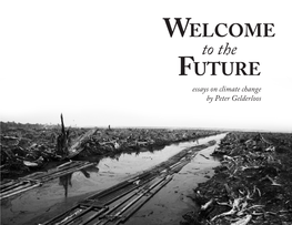Future Essays on Climate Change by Peter Gelderloos