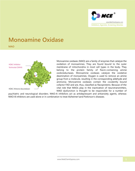 Monoamine Oxidase MAO