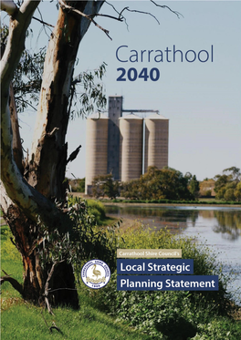 Carrathool Shire Council Local Strategic