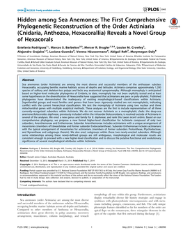 Hidden Among Sea Anemones: the First Comprehensive Phylogenetic Reconstruction of the Order Actiniaria