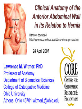 Clinical Anatomy of the Anterior Abdominal Wall in Its Relation To