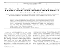 The Lichen Thelidium Litorale on Shells of Intertidal Limpets: a Case of Lichen-Mediated Cryptic Mimicry