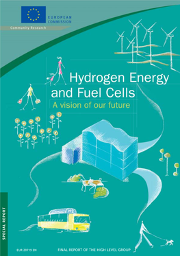 Hydrogen Energy and Fuel Cells a Vision of Our Future