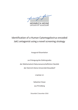 Identification of a Human Cytomegalovirus-Encoded Jak1 Antagonist Using a Novel Screening Strategy