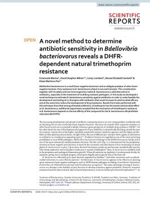 A Novel Method to Determine Antibiotic Sensitivity in Bdellovibrio