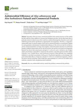 Antimicrobial Efficiency of Aloe Arborescens and Aloe Barbadensis