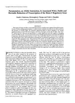 Paramutation, an Allelic Interaction, Is Associated with a Stable and Heritable Reduction of Transcription of the Maize B Regulatory Gene