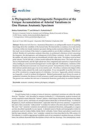 A Phylogenetic and Ontogenetic Perspective of the Unique Accumulation of Arterial Variations in One Human Anatomic Specimen