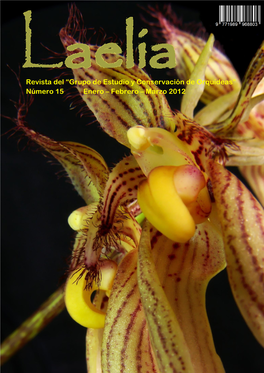 Revista Del “Grupo De Estudio Y Conservación De Orquídeas” Número 15 Enero – Febrero – Marzo 2012