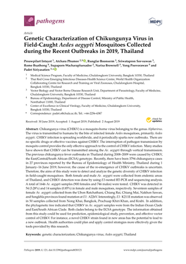 Genetic Characterization of Chikungunya Virus in Field-Caught Aedes Aegypti Mosquitoes Collected During the Recent Outbreaks in 2019, Thailand