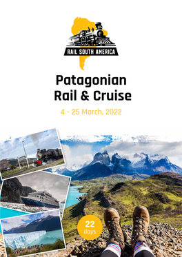 Patagonian Rail & Cruise