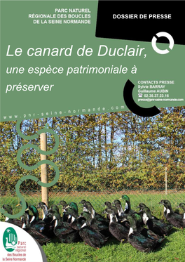 Canard De Duclair, Une Espèce Patrimoniale À Préserver