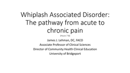 Whiplash Associated Disorder: the Pathway from Acute to Chronic Pain (Hours 7-8) James J