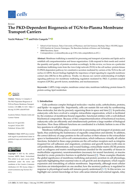 The PKD-Dependent Biogenesis of TGN-To-Plasma Membrane Transport Carriers