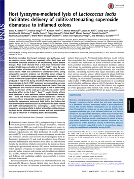 Host Lysozyme-Mediated Lysis of Lactococcus Lactis Facilitates Delivery of Colitis-Attenuating Superoxide Dismutase to Inflamed Colons