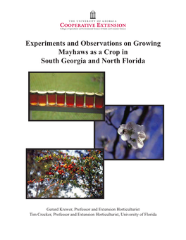 Experiments and Observations on Growing Mayhaws As a Crop in South Georgia and North Florida