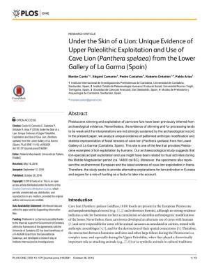 Under the Skin of a Lion: Unique Evidence of Upper Paleolithic Exploitation and Use of Cave Lion (Panthera Spelaea) from the Lower Gallery of La Garma (Spain)
