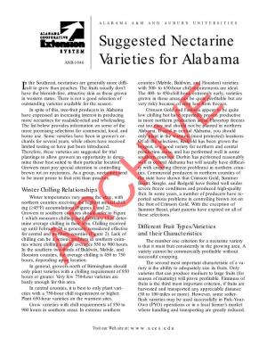 Suggested Nectarine Varieties for Alabama 3 ARCHIVE Arlie Powell, Extension Horticulturist, Professor, Horticulture, Auburn University