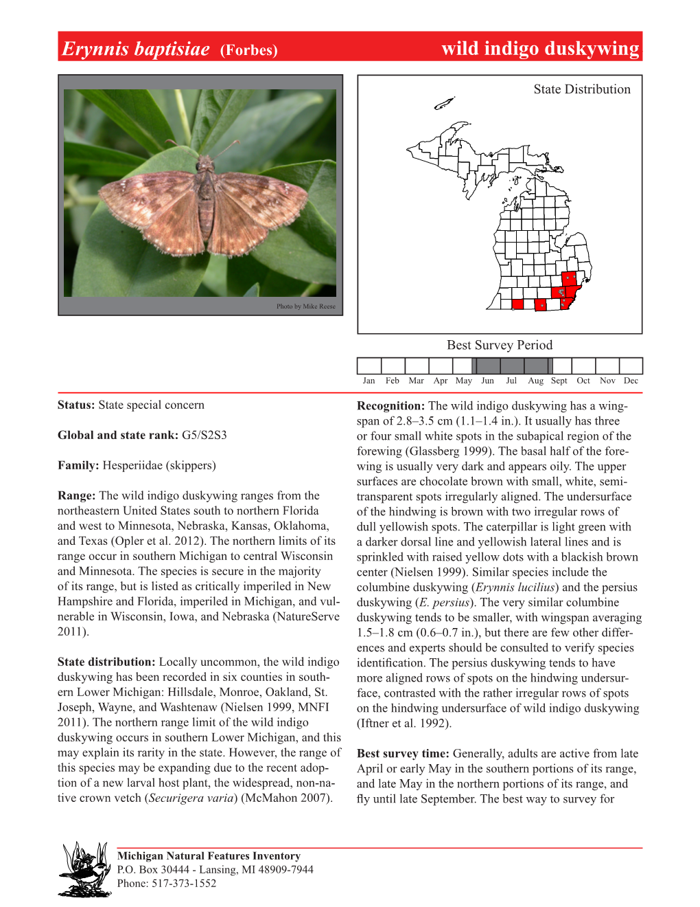 Erynnis Baptisiae (Forbes) Wild Indigowild Indigo Duskywing Duskywing, Page 3