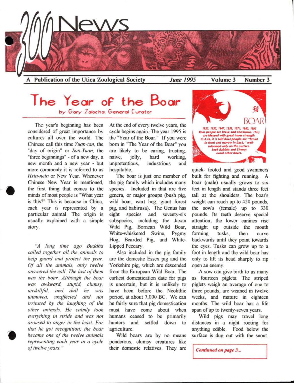 The Year of the Boar by Gary Zalocha, General Cvrator