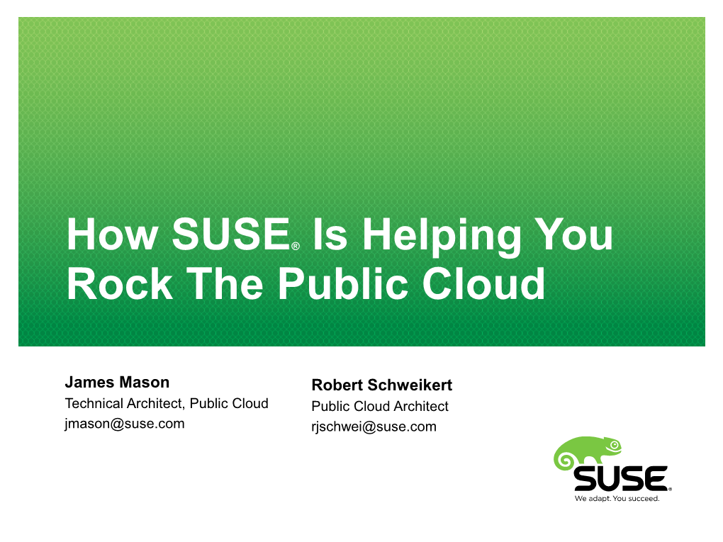 The Public Cloud