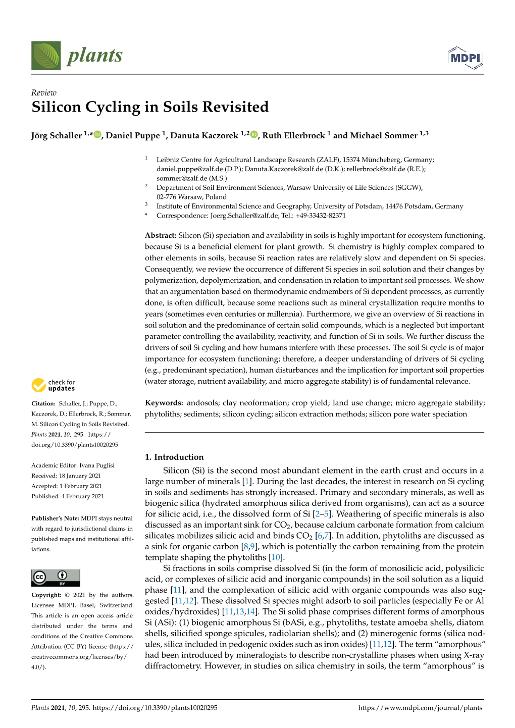 Silicon Cycling in Soils Revisited