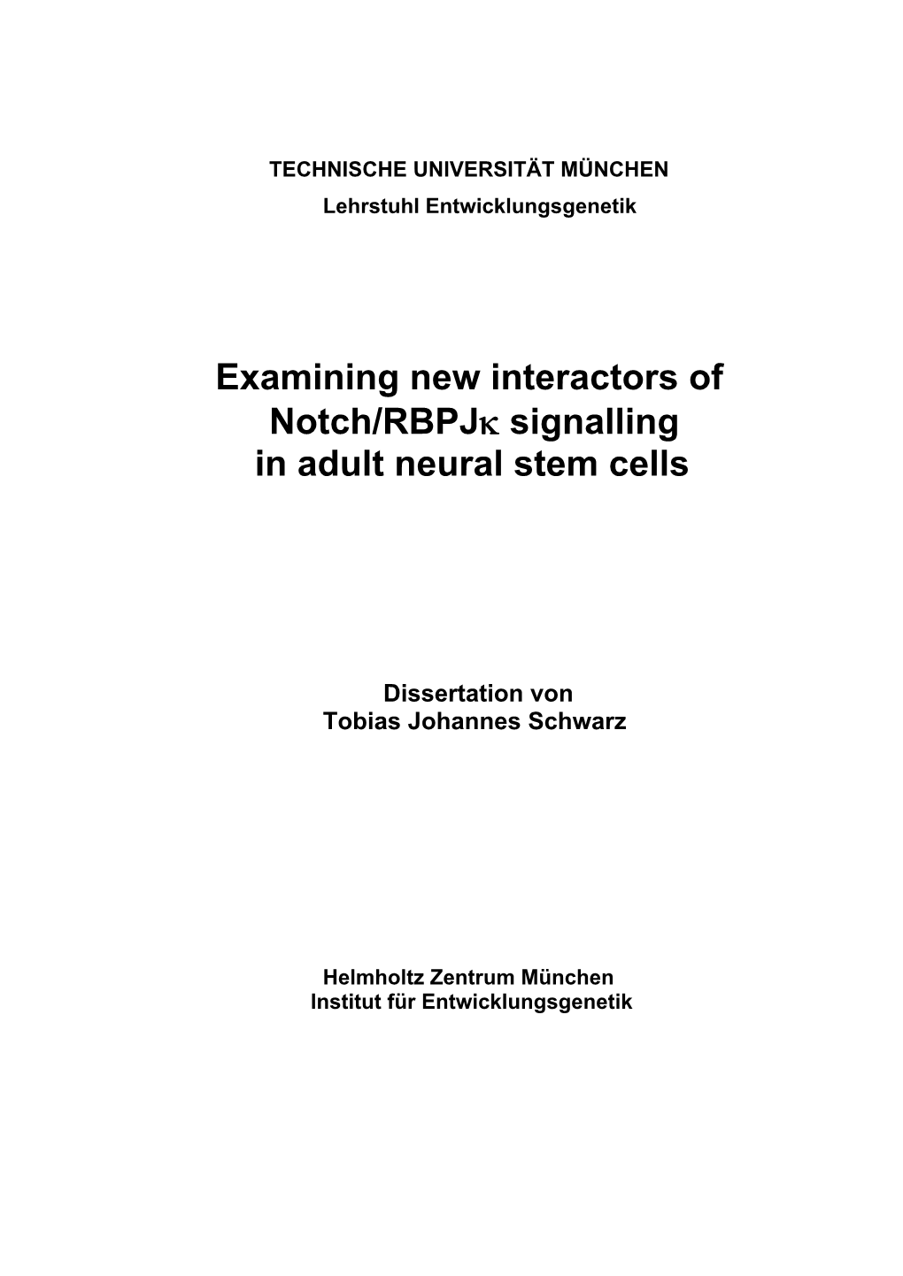 Examining New Interactors of Notch/Rbpjκ Signalling in Adult