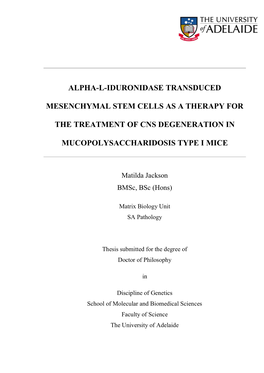 Alpha-L-Iduronidase Transduced Mesenchymal Stem Cells As A