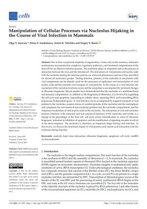 Manipulation of Cellular Processes Via Nucleolus Hijaking in the Course of Viral Infection in Mammals
