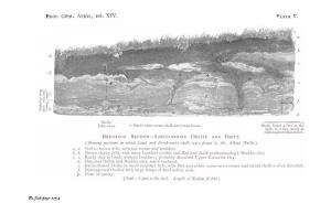 Sketch of the Geology of Co. Antrim