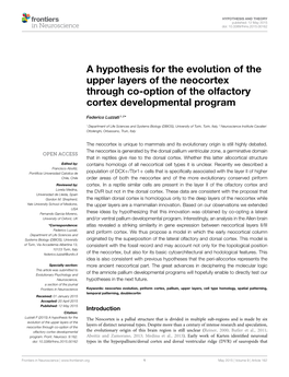 A Hypothesis for the Evolution of the Upper Layers of the Neocortex Through Co-Option of the Olfactory Cortex Developmental Program