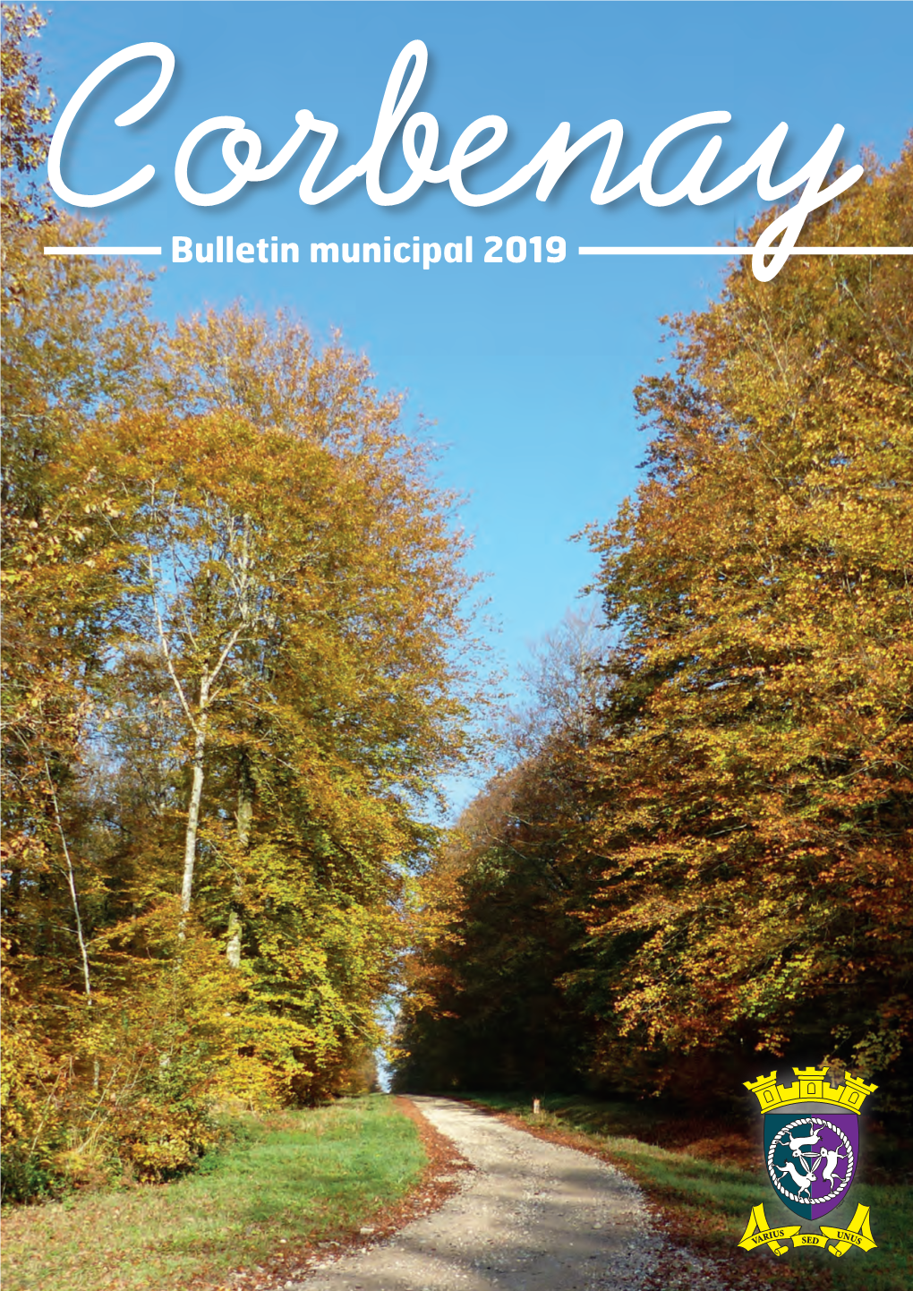 Bulletin Municipal 2019 Nous Voici Déjà En 2019… En Janvier 2015, Je Vous Disais « Il Faut Avoir Un Idéal Et Le Courage Nécessaire Pour Le Réaliser