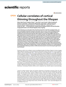 Cellular Correlates of Cortical Thinning Throughout the Lifespan Didac Vidal‑Pineiro1, Nadine Parker2,3, Jean Shin4, Leon French5, Håkon Grydeland1, Andrea P