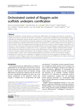 Actin Scaffolds Underpins Cornification