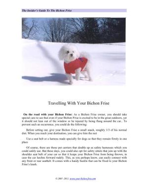 Travelling with Your Bichon Frise