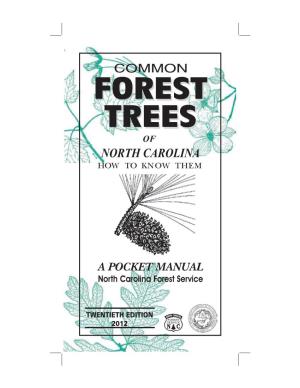 Common Forest Trees of NC