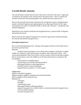 Carotid Sheath Anatomy